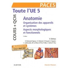 Anatomie : toute l'UE5 cours + QCM