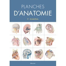 Planches d'anatomie, version spirales