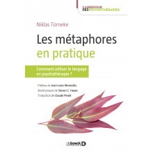 Les métaphores en pratique