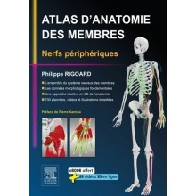 Atlas d'anatomie des membres : nerfs périphériques