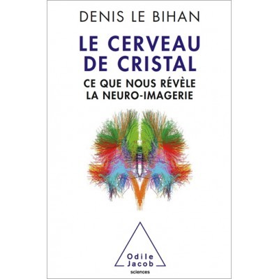 Le cerveau de cristal