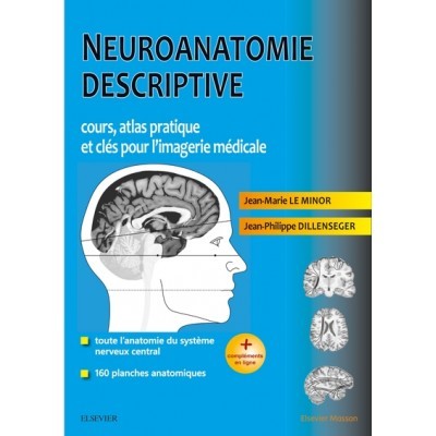 Neuroanatomie descriptive