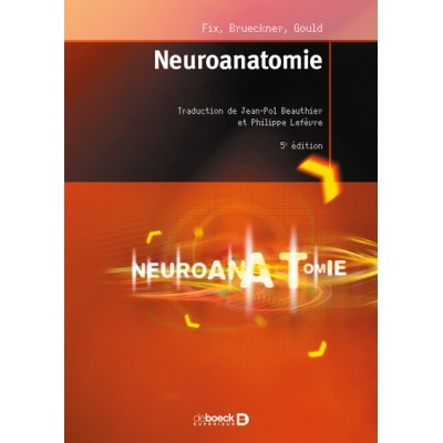 Neuroanatomie