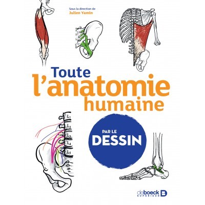 Toute l'anatomie humaine...