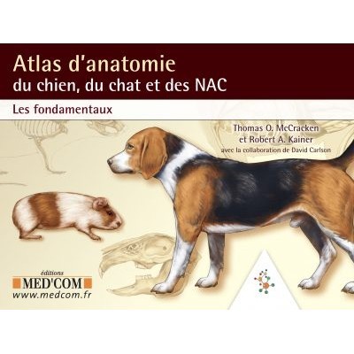 Atlas d'anatomie du chien,...