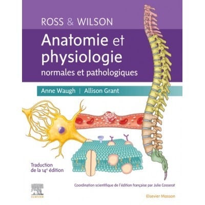 Anatomie et physiologie...