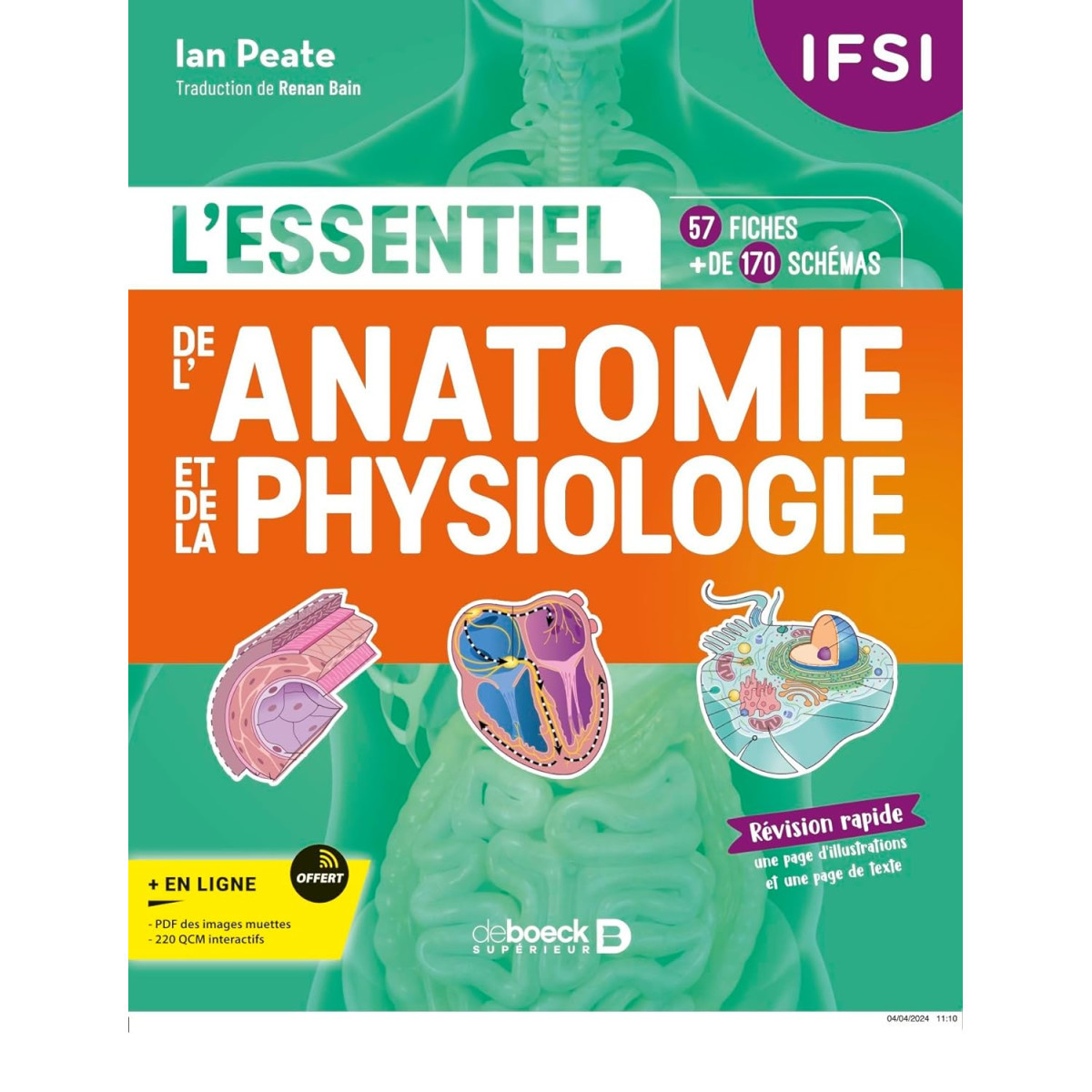 IFSI - L'essentiel de l’anatomie et de la physiologie humaines en fiches: 57 fiches - Plus de 170 illustrations