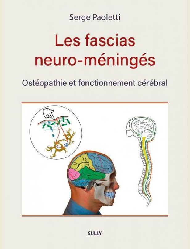 Les fascias neuro-méningés: Ostéopathie et fonctionnement cérébral