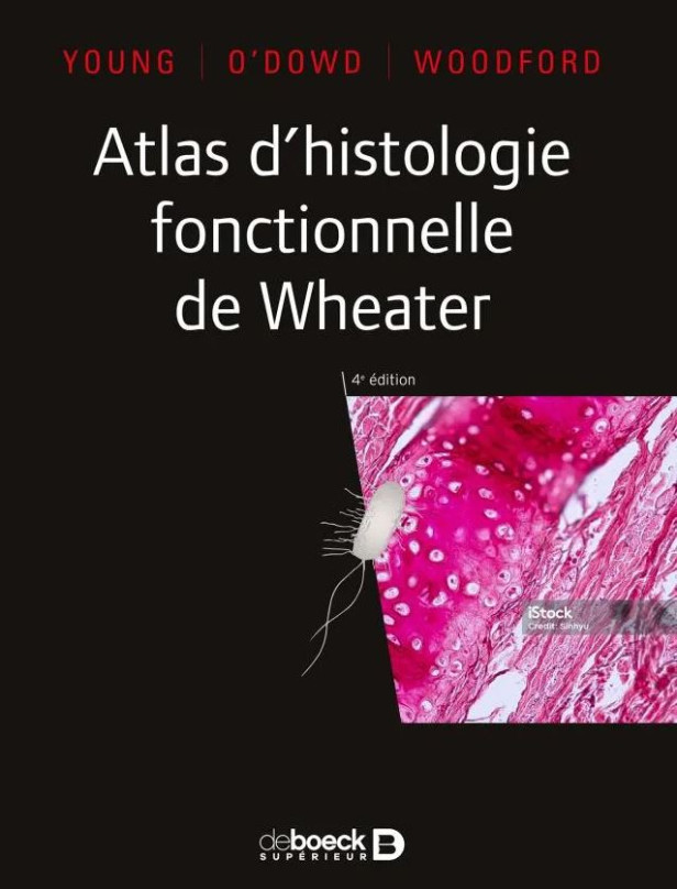 Atlas d'histologie fonctionnelle de Wheater