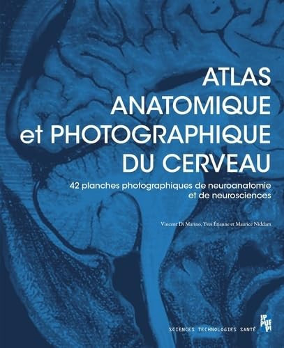 Atlas anatomique et photographique du cerveau - 42 planches (dont 41 photographiques) de neuroanatomie et de neuroscience