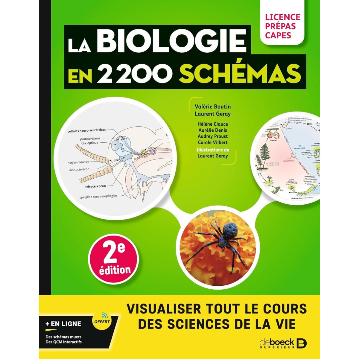 Biologie en 2200 schémas: Licence, prépas, Capes