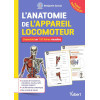 L'anatomie de l'appareil locomoteur : l'essentiel en 200 fiches visuelles