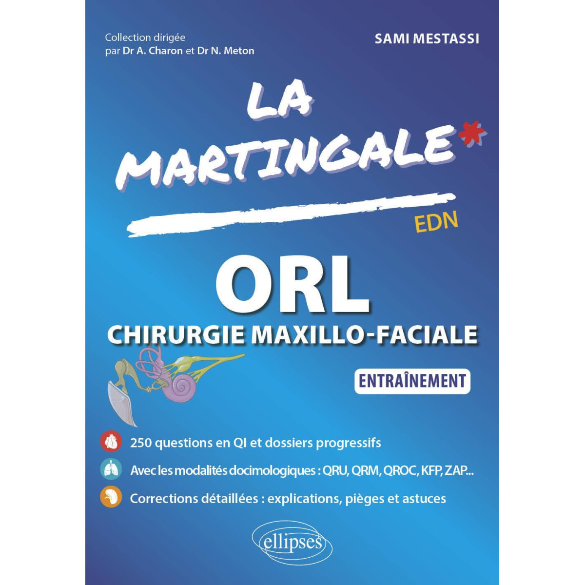 La Martingale : ORL et Chirurgie Maxillo-Faciale - Entraînement