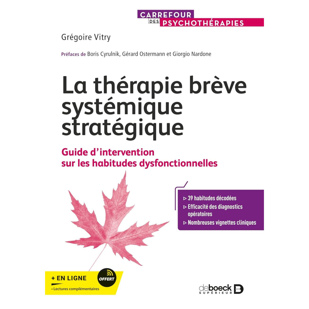 La thérapie brève systémique stratégique