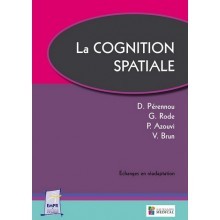 La cognition spatiale