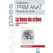 La base du crâne