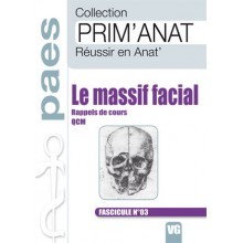 Le massif facial