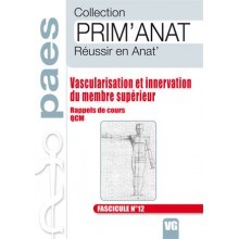 Vascularisation et...