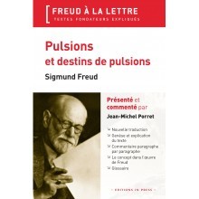 Pulsions et destins pulsions