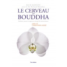 Le cerveau de Bouddha