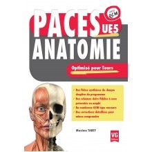 Anatomie UE5 - Tours