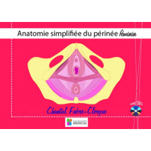 Anatomie simplifiée du périnée féminin