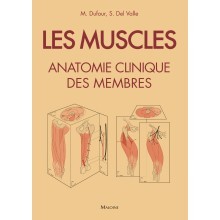 Les muscles